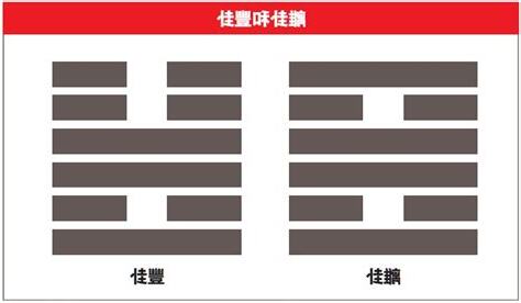 九運 離卦
